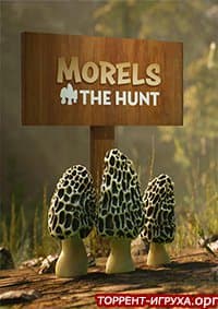 Morels The Hunt Spring