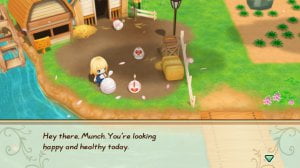 STORY OF SEASONS Friends of Mineral Town
