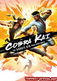 Cobra Kai The Karate Kid Saga Continues