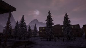Anarchy Wolf's law