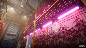 Drug Grower Simulator