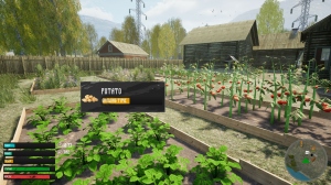 Russian Village Simulator (  )