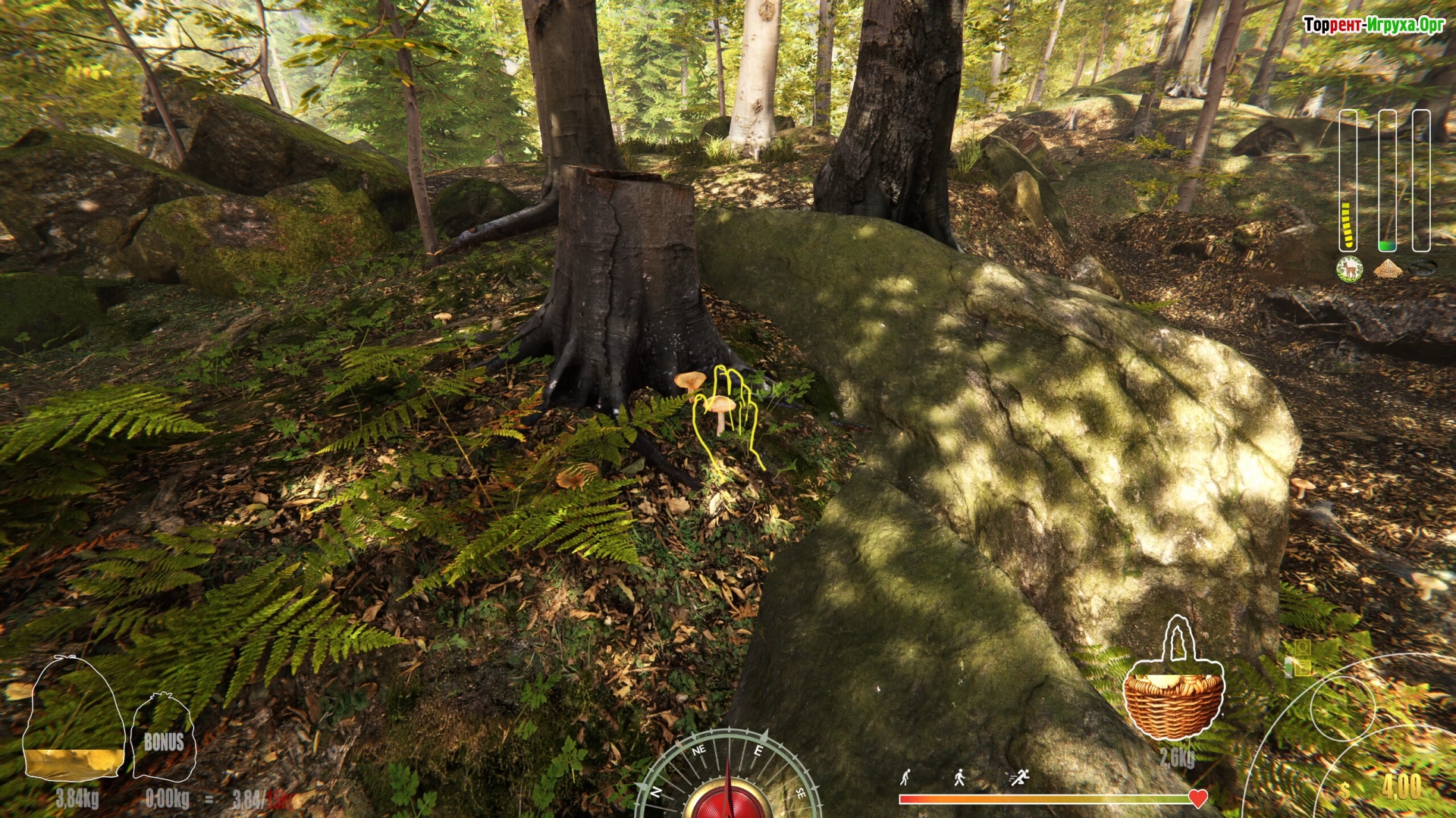 Скачать Forest Ranger Simulator торрент на ПК