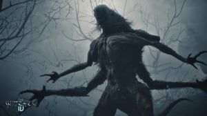 The Witcher 4 ( 4)