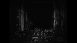 [REC] Desolation