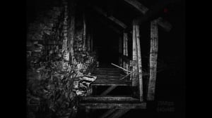 [REC] Desolation