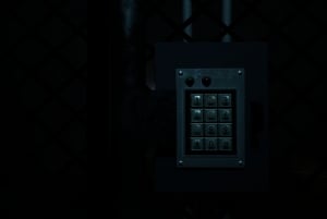 Forest Asylum