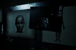 Forest Asylum