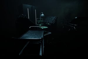 Forest Asylum