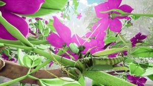 Nature And Life - Drunk On Nectar