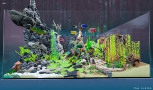 Fish Game