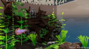 Fish Game