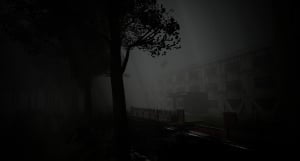 Shizuoka Curse