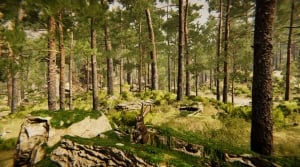 Animal Simulator