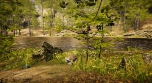 Animal Simulator