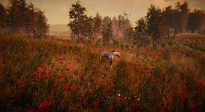 Animal Simulator