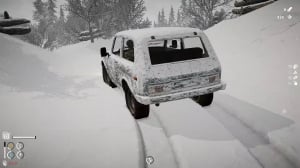 Short Snow