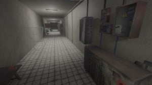 The Mirror's Edge