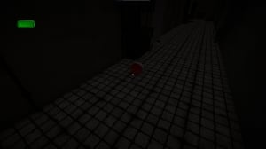 The Mirror's Edge