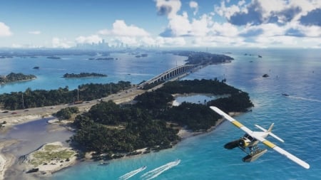 GTA 6 ( 6)