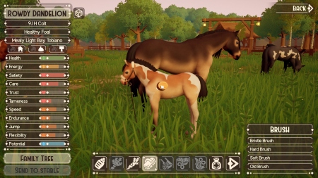 The Ranch of Rivershine