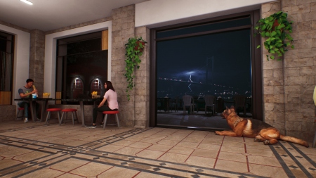 Wrap House Simulator