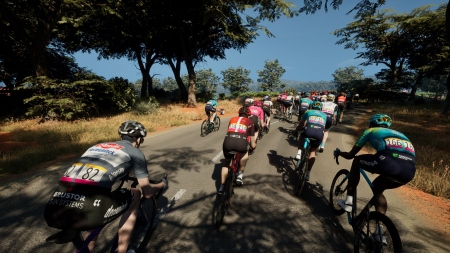 For Cycling Manager 25