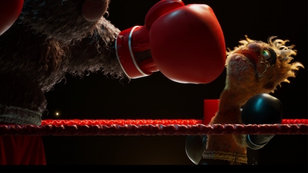 Felt That: Boxing