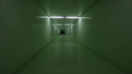 LIMSCAPE: THE LIMINAL SPACE EXPLORER