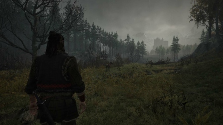 The Blood of Dawnwalker