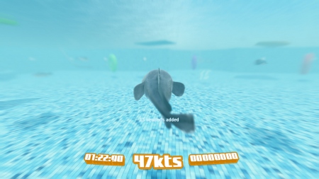 Tuna Hake's Underwater