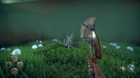 Hunted Within: The Walls