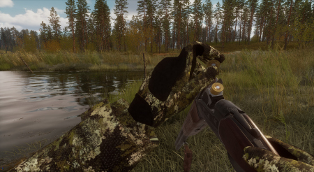 BULT: Hunting simulator
