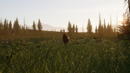 Next Hunting Adventure