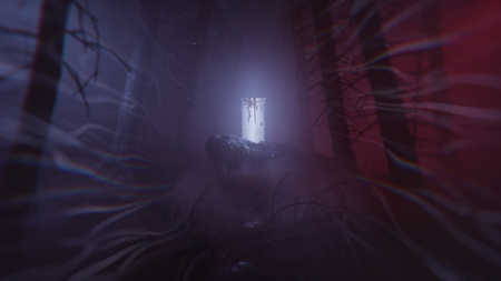 Lucid Falls