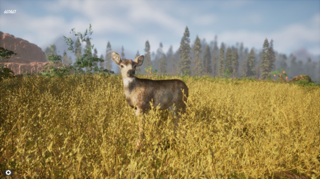 Untamed Kingdom