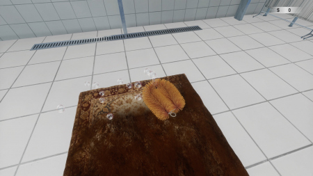 Carpet Cleaning Simulator