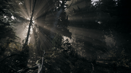 Nature of Dread