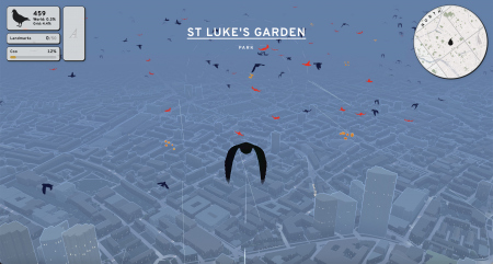 Pigeon: A Love Story