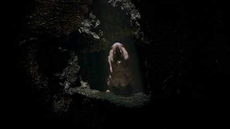 Ritual Tides