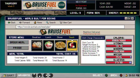 Bruisers 2D Boxing