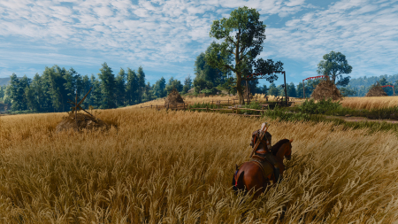 The Witcher 3 Wild Hunt Remastered
