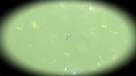 Look to the Birds