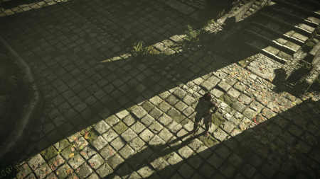 Shadow of the Colossus