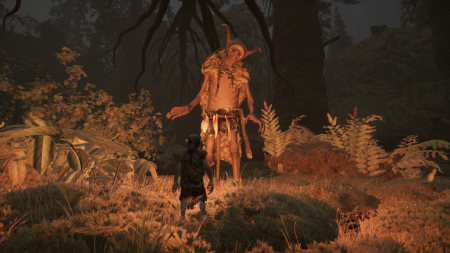 TROLLHEIM: GNOMES