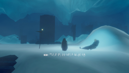 Penguin Colony