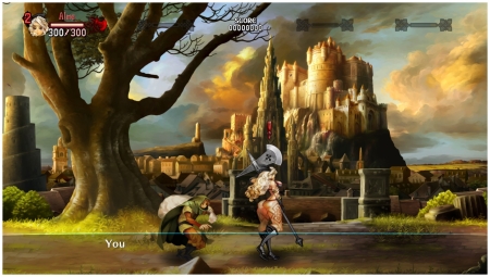 Dragon's Crown Pro