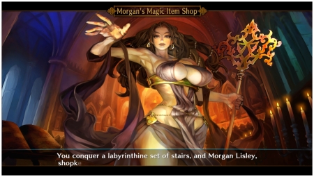 Dragon's Crown Pro